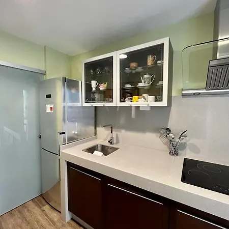 Piso En Pleno Centro De Izquierda 米尼奥